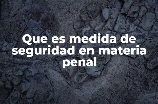 Que es Medida de Seguridad en Materia Penal