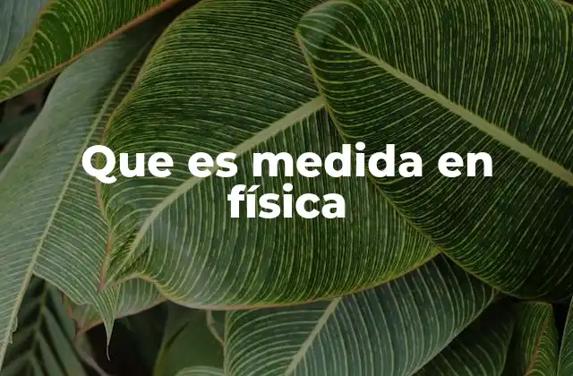 Que es Medida en Física