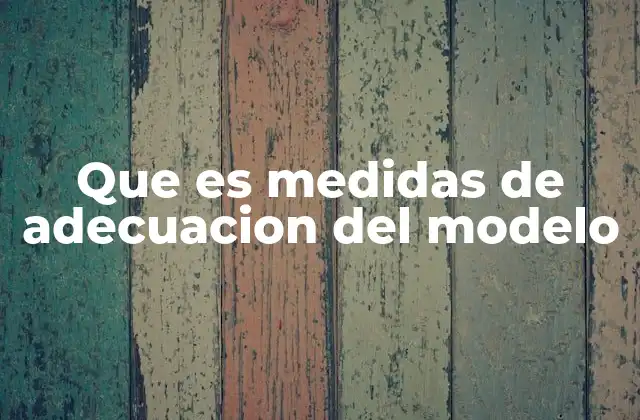 Que es Medidas de Adecuacion Del Modelo