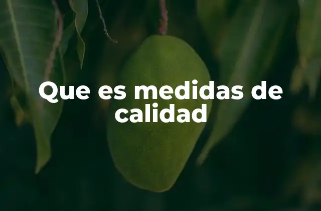 Que es Medidas de Calidad