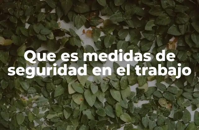 Que es Medidas de Seguridad en el Trabajo