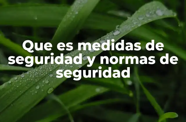 Que es Medidas de Seguridad y Normas de Seguridad