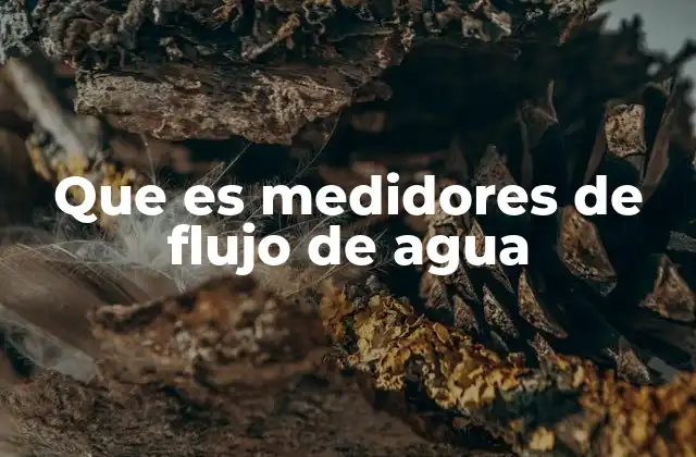 Que es Medidores de Flujo de Agua