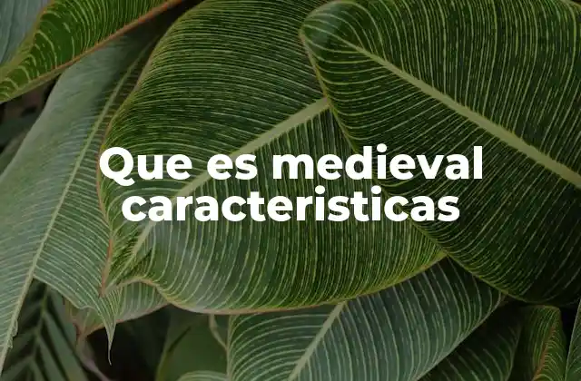 Que es Medieval Caracteristicas