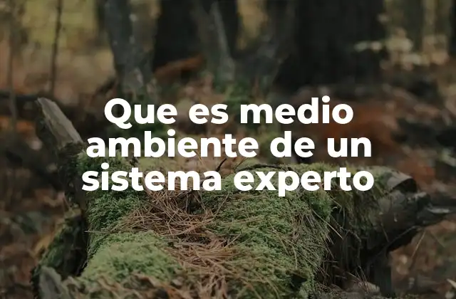 Que es Medio Ambiente de un Sistema Experto