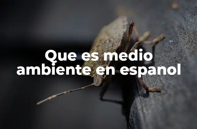 Que es Medio Ambiente en Espanol