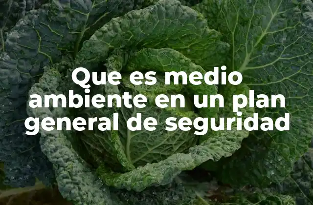 Que es Medio Ambiente en un Plan General de Seguridad