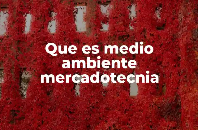 Que es Medio Ambiente Mercadotecnia
