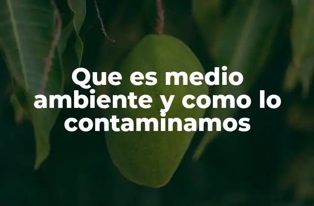 Que es Medio Ambiente y como Lo Contaminamos
