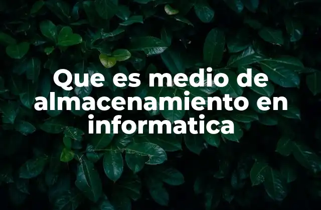 Que es Medio de Almacenamiento en Informatica