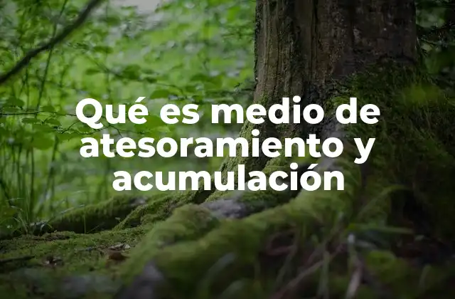 Qué es Medio de Atesoramiento y Acumulación