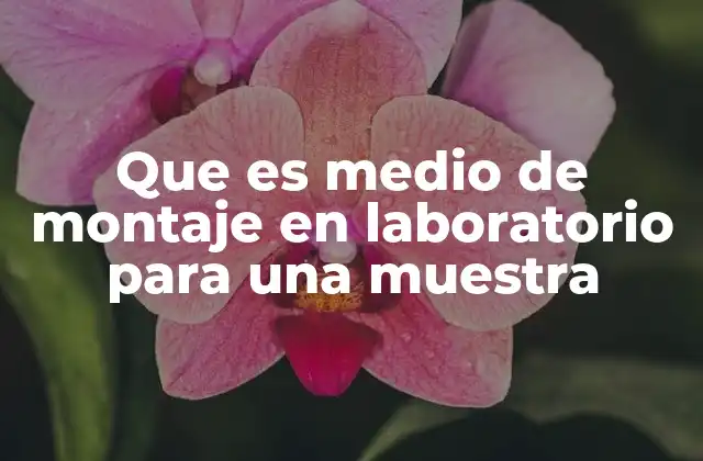 Que es Medio de Montaje en Laboratorio para una Muestra