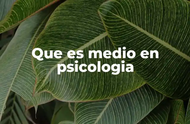 Que es Medio en Psicologia 2 El entorno como base del desarrollo psicológico