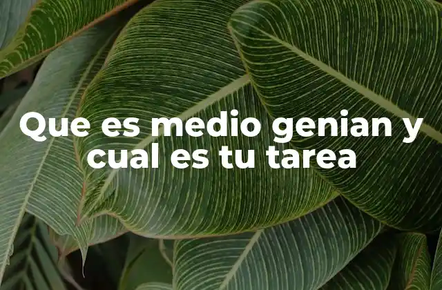Que es Medio Genian y Cual es Tu Tarea