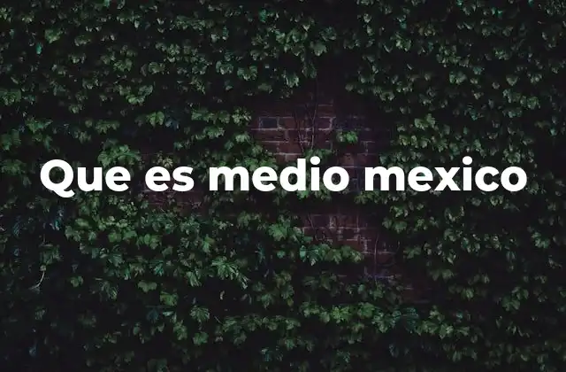 Que es Medio Mexico