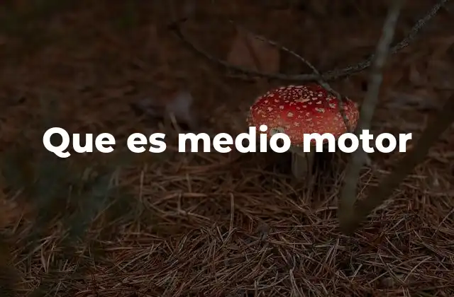 Que es Medio Motor