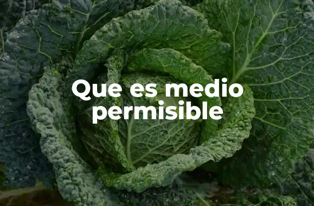 Que es Medio Permisible 2 La importancia de los límites en la comunicación