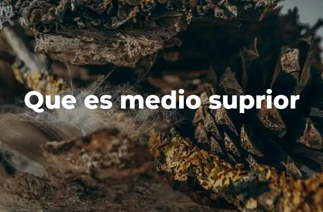 Que es Medio Suprior