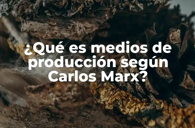 ¿qué es Medios de Producción según Carlos Marx?