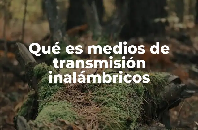 Qué es Medios de Transmisión Inalámbricos
