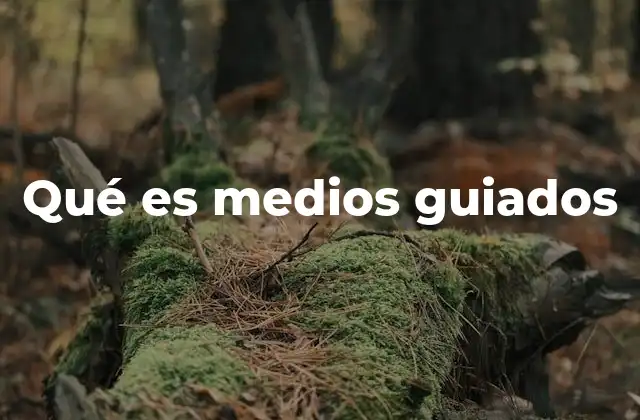 Qué es Medios Guiados