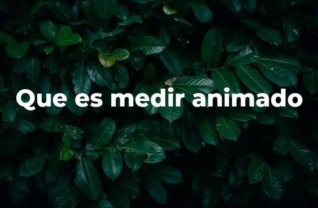 Que es Medir Animado