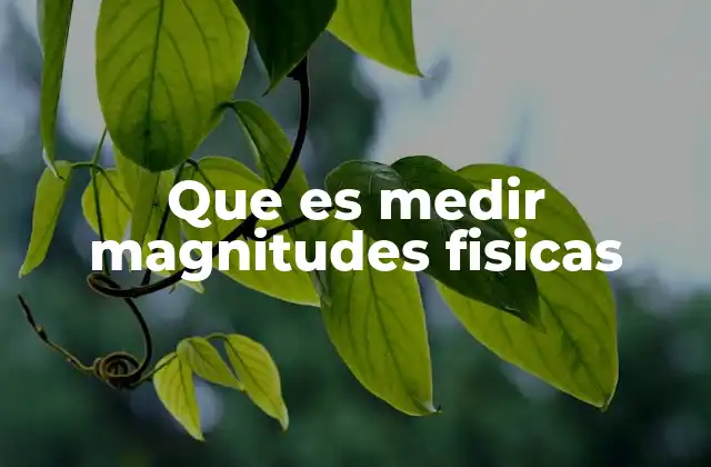 Que es Medir Magnitudes Fisicas