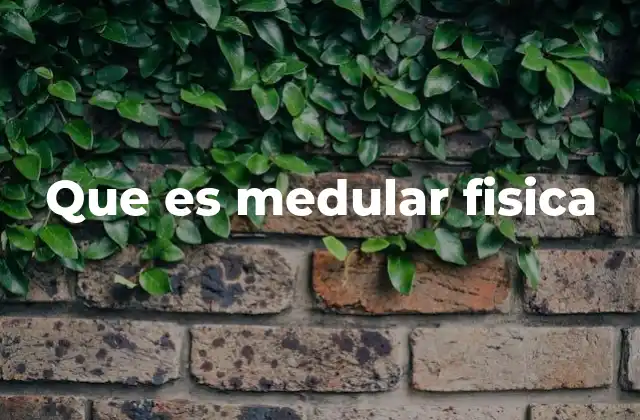 Que es Medular Fisica