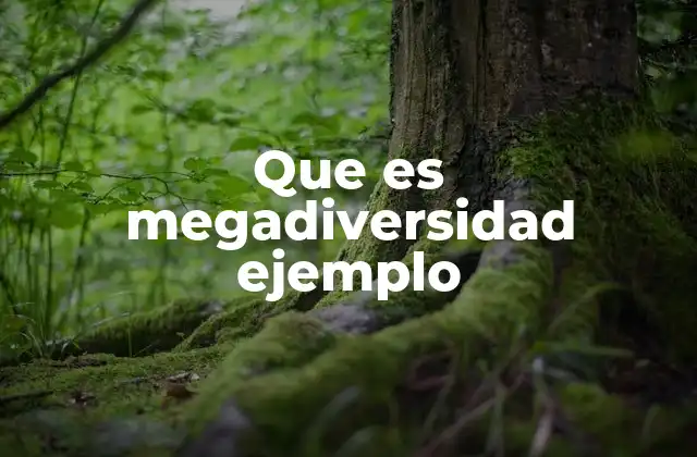 El papel de la megadiversidad en la conservación global