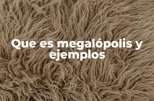 Que es Megalópolis y Ejemplos
