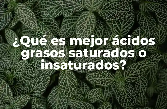 La importancia de los ácidos grasos en la salud cardiovascular