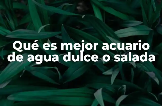 Qué es Mejor Acuario de Agua Dulce o Salada