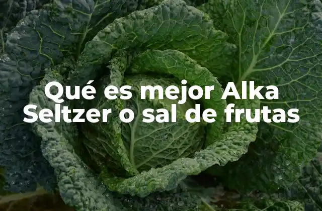 Qué es Mejor Alka Seltzer o Sal de Frutas