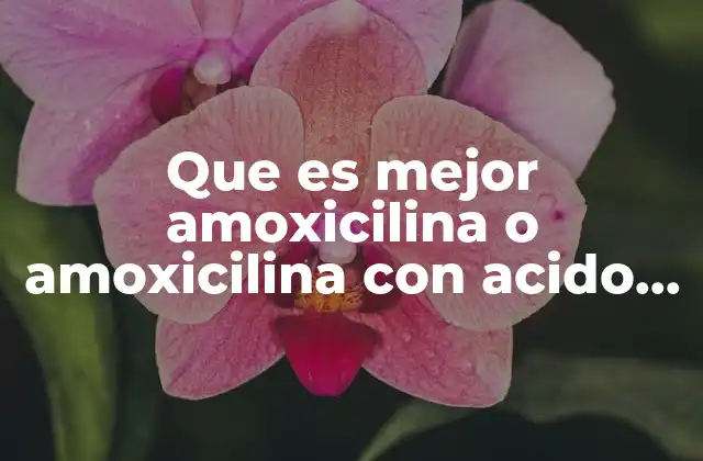 Que es Mejor Amoxicilina o Amoxicilina con Acido Clavulanico