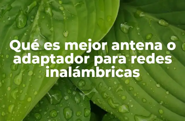 Qué es Mejor Antena o Adaptador para Redes Inalámbricas