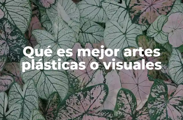 Qué es Mejor Artes Plásticas o Visuales