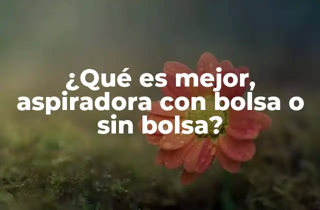 ¿qué es Mejor, Aspiradora con Bolsa o sin Bolsa?