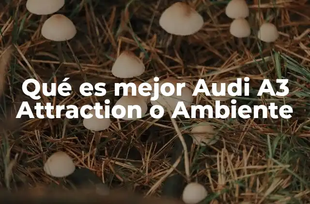 Qué es Mejor Audi A3 Attraction o Ambiente