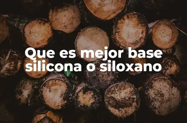 Que es Mejor Base Silicona o Siloxano
