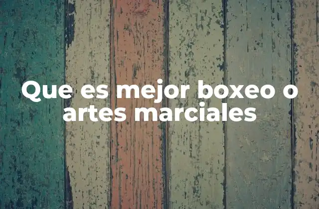 Que es Mejor Boxeo o Artes Marciales