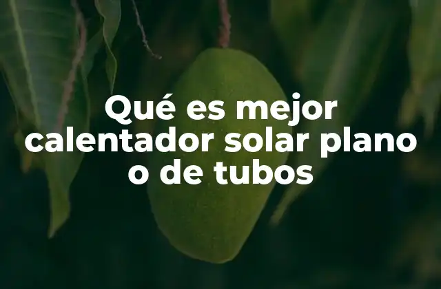 Qué es Mejor Calentador Solar Plano o de Tubos