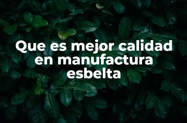 Que es Mejor Calidad en Manufactura Esbelta