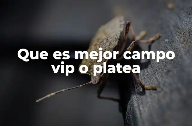 Que es Mejor Campo Vip o Platea
