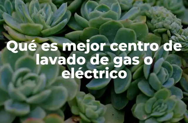 Factores que influyen en la elección de un centro de lavado de gas o eléctrico