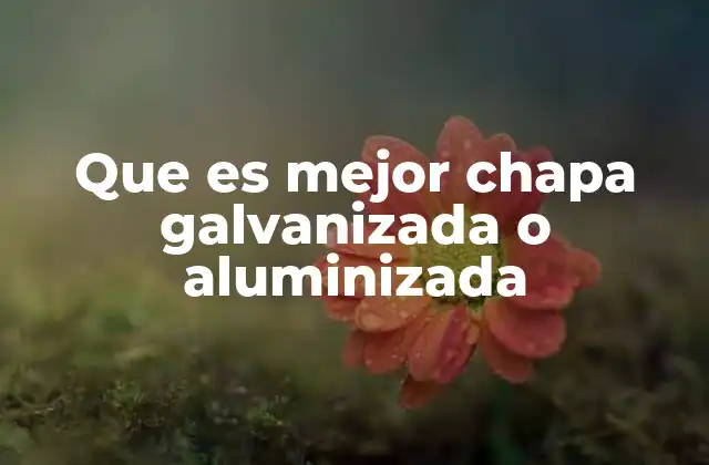 Ventajas y desventajas de los recubrimientos metálicos en chapas