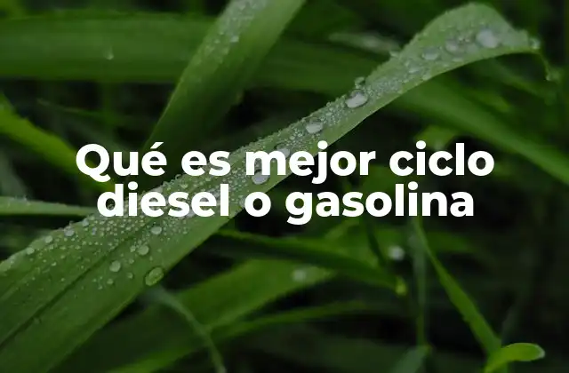 Factores que influyen en la elección entre motores diesel y gasolina