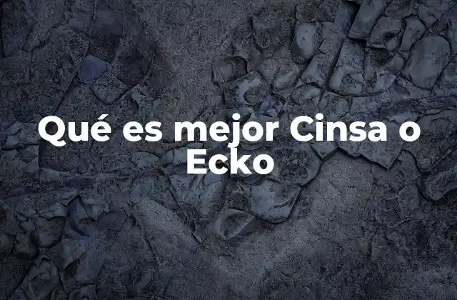 Qué es Mejor Cinsa o Ecko