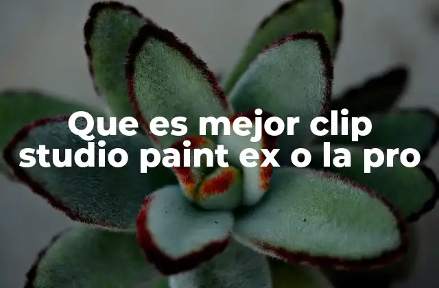 Que es Mejor Clip Studio Paint Ex o la Pro