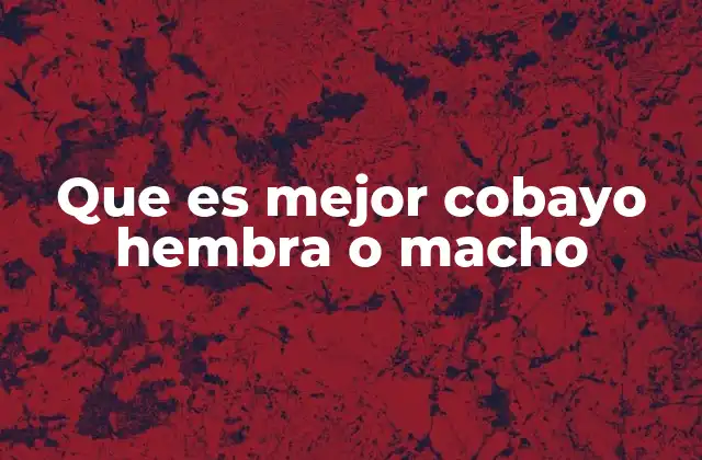 Que es Mejor Cobayo Hembra o Macho