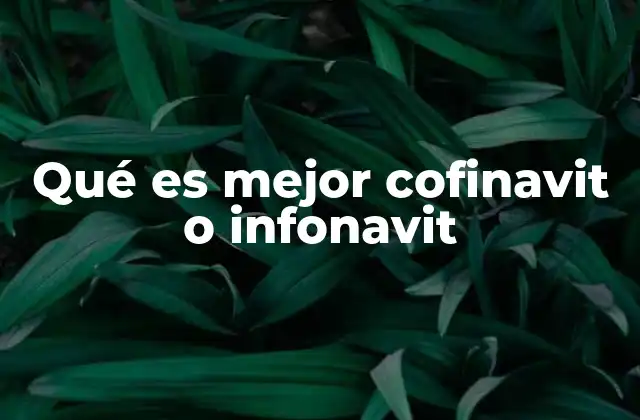 Qué es Mejor Cofinavit o Infonavit